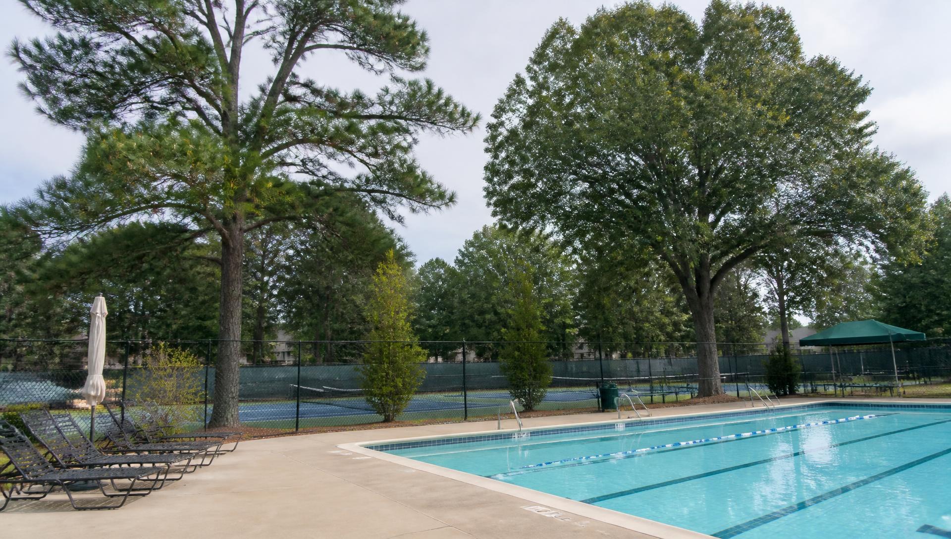 Neighborhood swim and racquet club pool and tennis courts under tall pines in south Charlotte