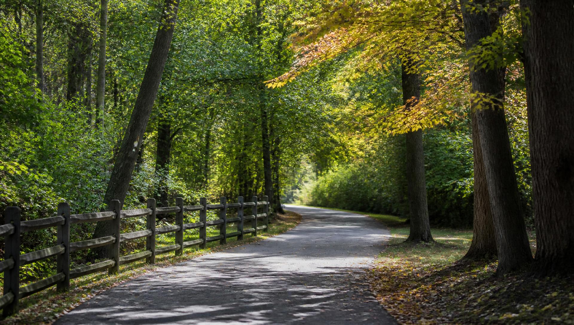 Shaded greenway path lined with hardwood trees and a split-rail fence near Montibello